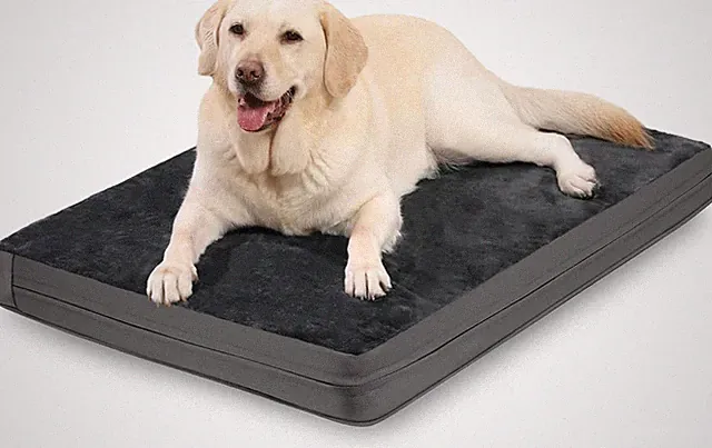 Orthopedic Dog Bed Reversible Faux Leather Flannel Waterproof Crate Mat 35x22x3"